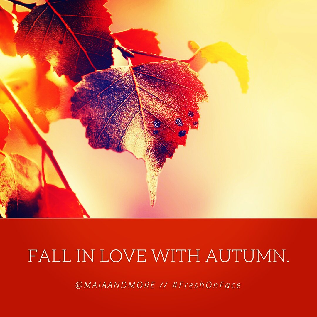 FreshOnFace's tweet image. Just LOVE Autumn!
Maiaandmore.com
#FreshOnFace #LoveAutumn