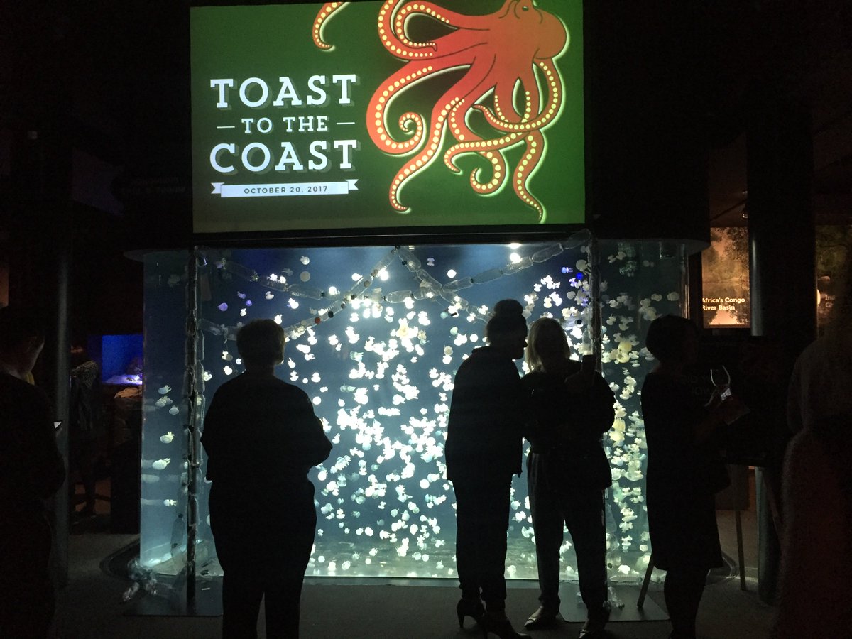vanaqua's tweet photo. “Jelfie” game strong in front of the jellies at #TTTC17 tonight. Our annual gala is off to a splashing start! https://t.co/nzy3ThZcaW