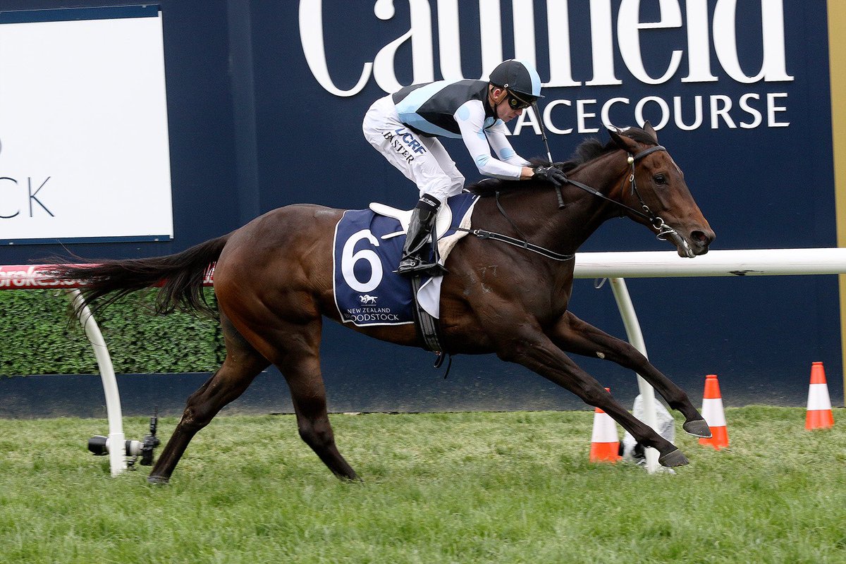 GaiWaterhouse1's tweet photo. Stable double @Caulfield with 2 promising fillies - terrific start to @Caulfield Cup Day 💪🏽🔥 #springriches https://t.co/M00OorD9lj