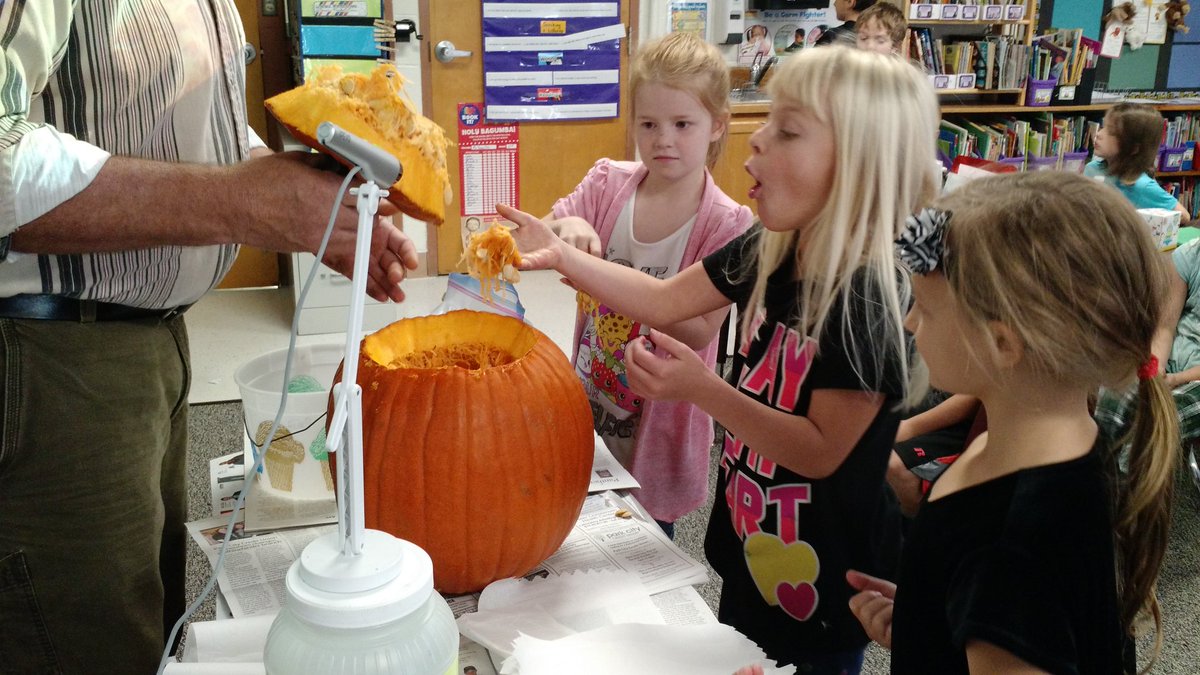 TVannatterSDR's tweet photo. @CrescentElemSDR 2nd grade Ss study pumpkin facts, Iifecycle & Halloweenhistory #doccamera + #teachscience https://t.co/Ds2EM3yZ9x