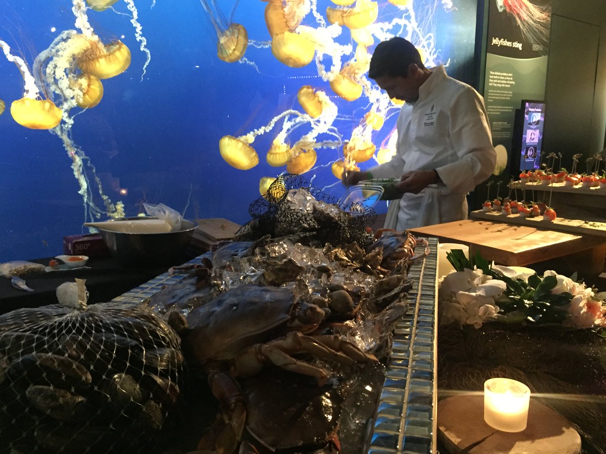 vanaqua's tweet photo. Great, sustainable seafood, great @OceanWiseLife partners, great music, and great backdrops. That’s #TTTC17! @FSVancouver @FairmontPacific https://t.co/caCEvVEo8v