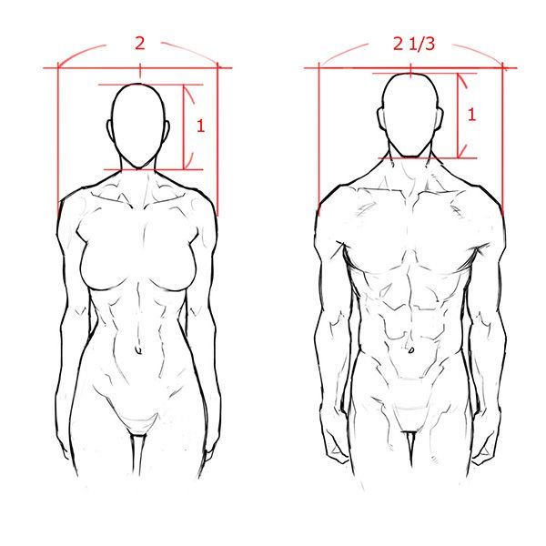 いちあっぷ By Mugenup クリエイティブ制作会社 在 Twitter 上 描き分けてみよう 男女の体格差から学ぼう 筋肉質な女性の描き方 いちあっぷ T Co Uyyutprjd8 絵が上手くなる記事はコレ T Co V4kkfhnovu Twitter