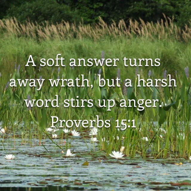 alive_usa's tweet photo. Let us seek to turn away from wrath by speaking boldly, but kindly in the truth of Godβs Word. https://t.co/k6bfHM1Iwb #answersoftly #Jesus https://t.co/b3Wc8PI21p