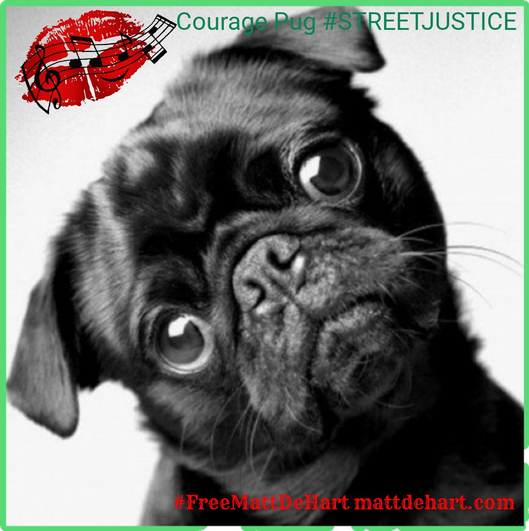 SealSnap's tweet image. 'Justice' 🤔 'Torture' #FreeMattDehart
📑#StreetJustice
585 'n 584 humanitynotcommodity.wordpress.com
📽️youtu.be/VYOfUnxY0G0 
#DataAngels 😘 @AJEnglish