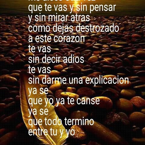 alex fuentes ok tweet media