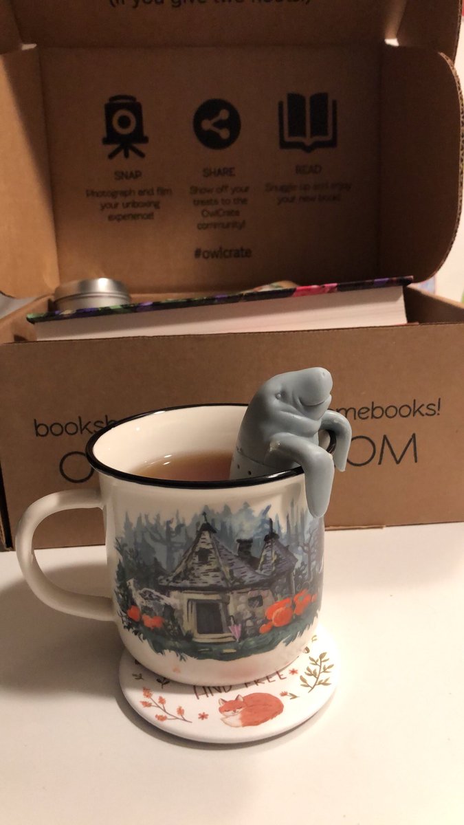 LaurenNicole445's tweet photo. In LOVE with my tea, coaster, and mug from @owlcrate for the October Box 🦉🌲🖤 #FindMeInTheForest #OwlCrate https://t.co/pU10y28iQ9
