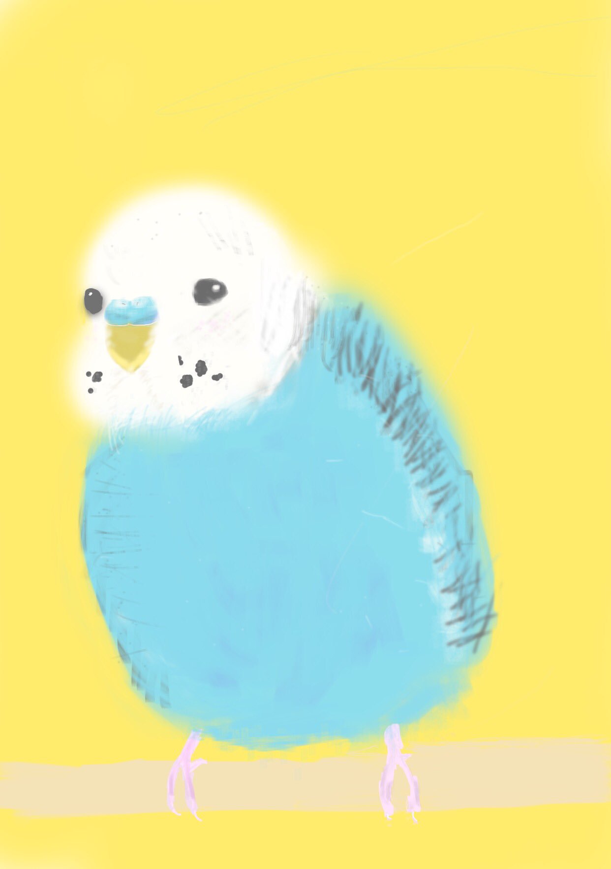 夏夜 うちの子書きました 動物 セキセイインコ セキセイインコイラスト T Co 4styhdzoli Twitter
