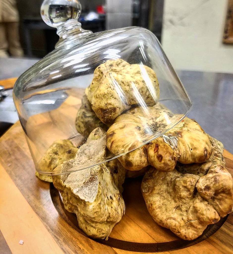 stonehilltavern's tweet photo. Why not #indulge in some prestine #alba white truffles with the new fall menu @stonehilltavern https://t.co/WS10g6WlyH https://t.co/Ye29YL3kpC