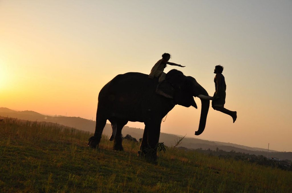 just4_Vik's tweet photo. @Pavithravik @iamVikramPrabhu Unforgettable #5YearsofKumki🐘 #Bomman😍👌 ❤❤❤ Forever... #pakka #keeprocking 👍😊 https://t.co/DRMV4L8EaG