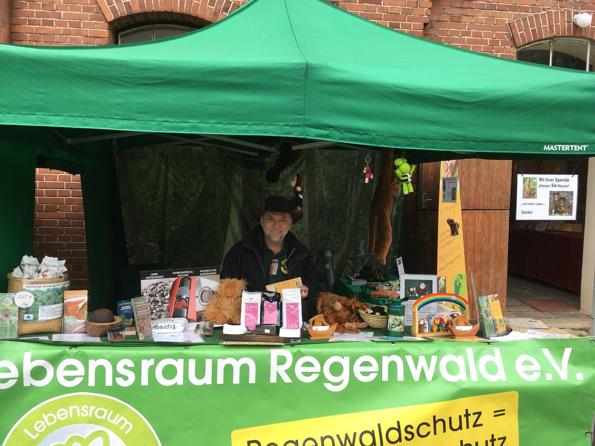 Make the world a better and sustainable place #Sustainability #rainforest #OrangutanRescue #biodiversity