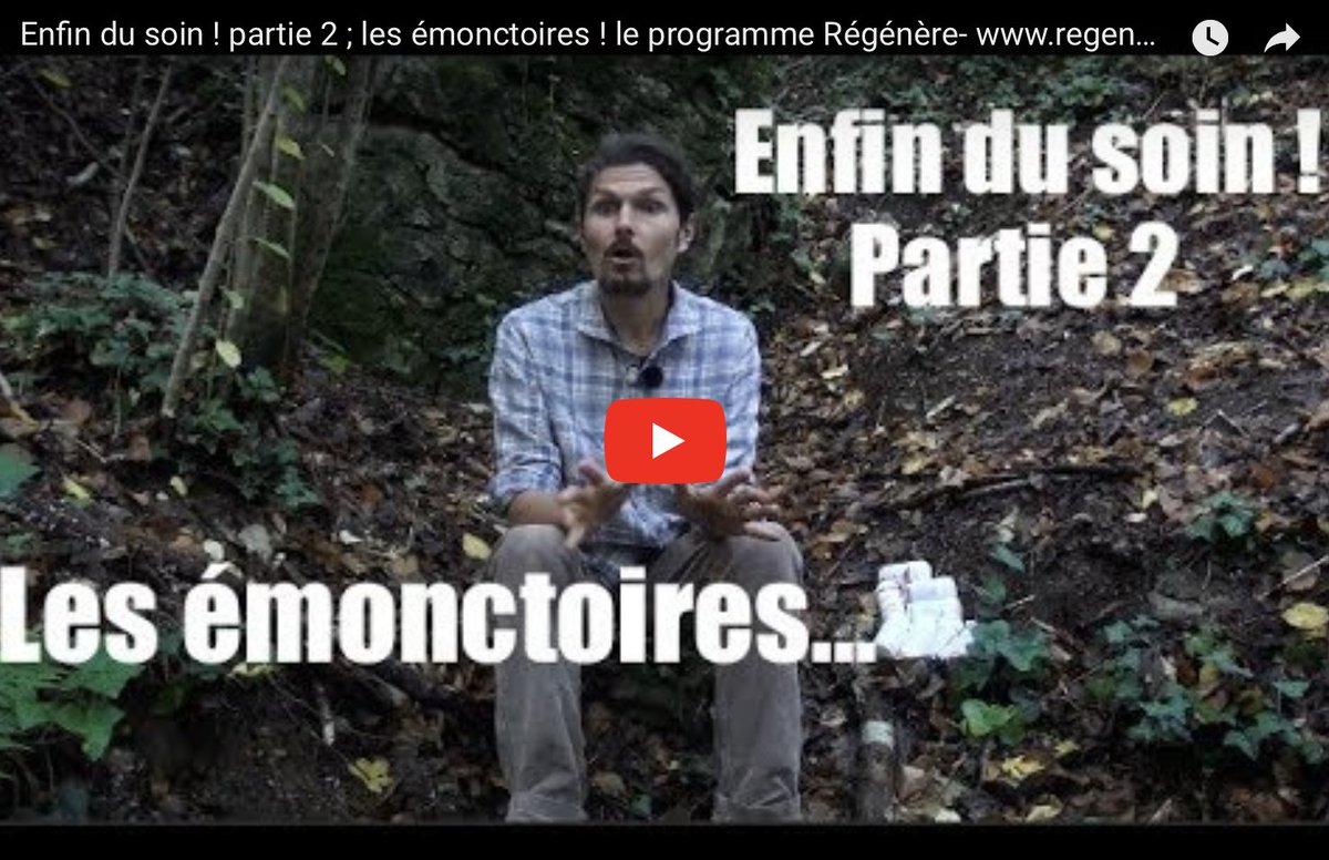 ENFIN DU SOIN ! PARTIE 2 ; LES ÉMONCTOIRES ! LE PROGRAMME RÉGÉNÈRE regenere.org/videos/le-top-…