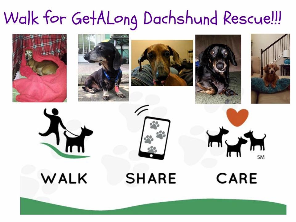 3daxs's tweet photo. Another wag tailing app where you can exercise to help our pups! https://t.co/5g9YfPmrdU https://t.co/v0KsxsQ8rx