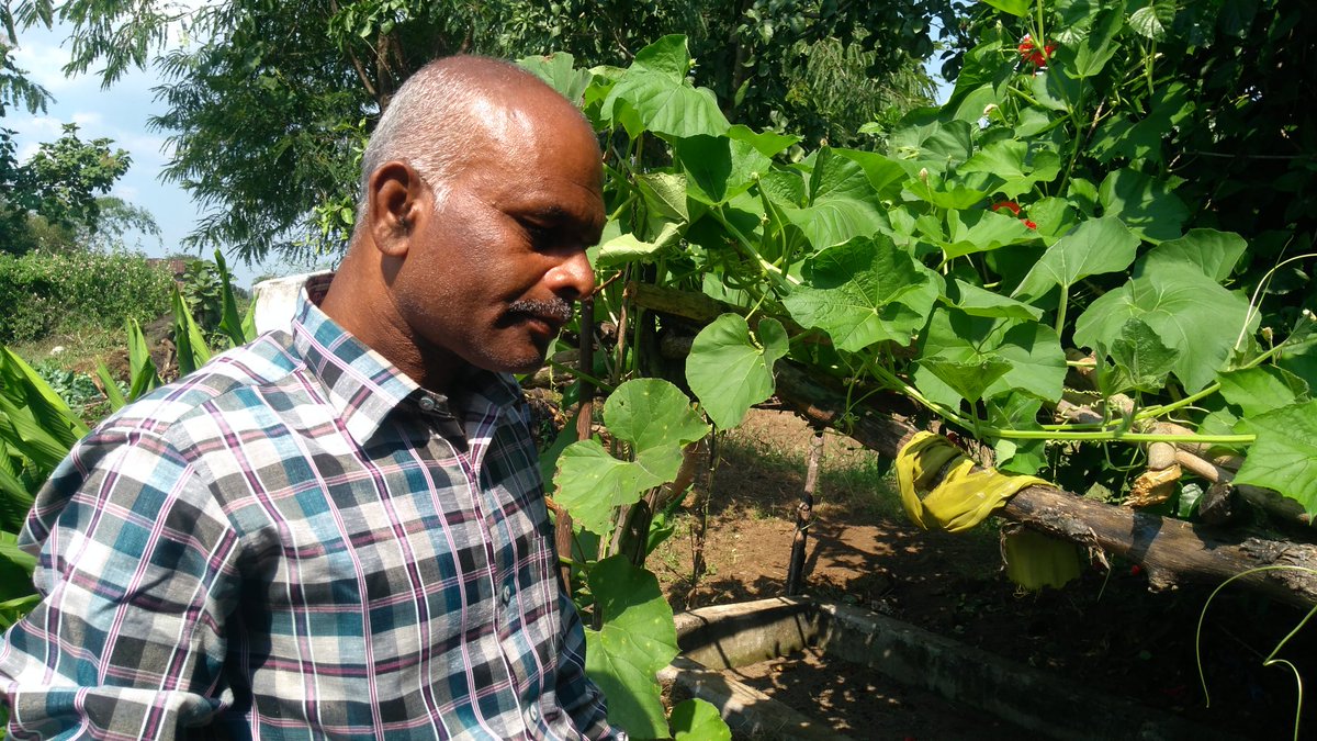 mandla_organic's tweet photo. MT 2110- Organic farming execution at Mandla #forward&amp;backward linkages by #MOKPCL @mandla_organic support of farmers. https://t.co/VKmsyzXSL5