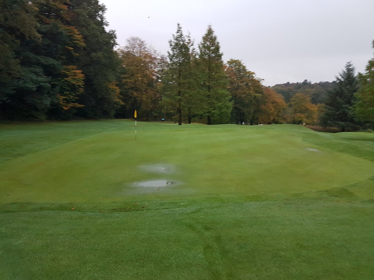 LickeyHillsGolf's tweet photo. COURSE OPEN β
18 MAIN GREENS β
1 TEMP TEE β
TROLLEYS OK β
BUGGIES OFF π
MUST PROTECT COURSE β
#GOLF #goplay9 #brumhour #rain https://t.co/KGc6GEdrEw