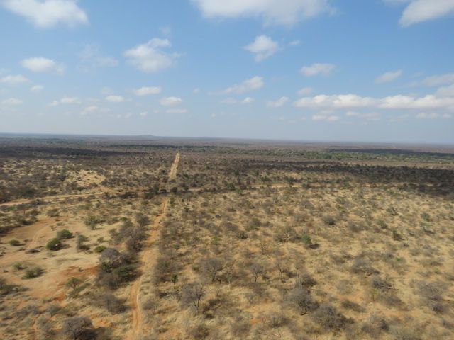 MotseBotswana's tweet photo. Working Abroad removed any links to non ethical volunteer companies, we are proudly part other community!

https://t.co/AcWYJXAzip https://t.co/xOViyrq7yZ