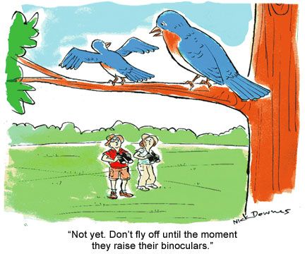 TourismVelddrif's tweet image. Where&apos;s your favourite #birding spots in our town? 
#saturdayvibes #birdingfun 
@MariusSoU @MarindaSoU