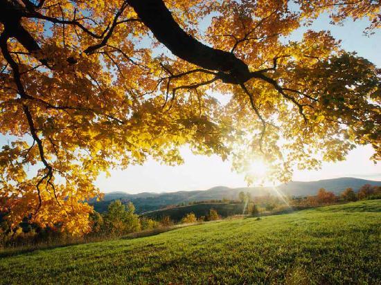 NRieraF's tweet photo. "Arrelar, com un arbre, dins la terra:
no ser núvol endut d’un poc de vent."

—Marià Villangómez

Bon dissabte! https://t.co/Nfp7vEFxZU