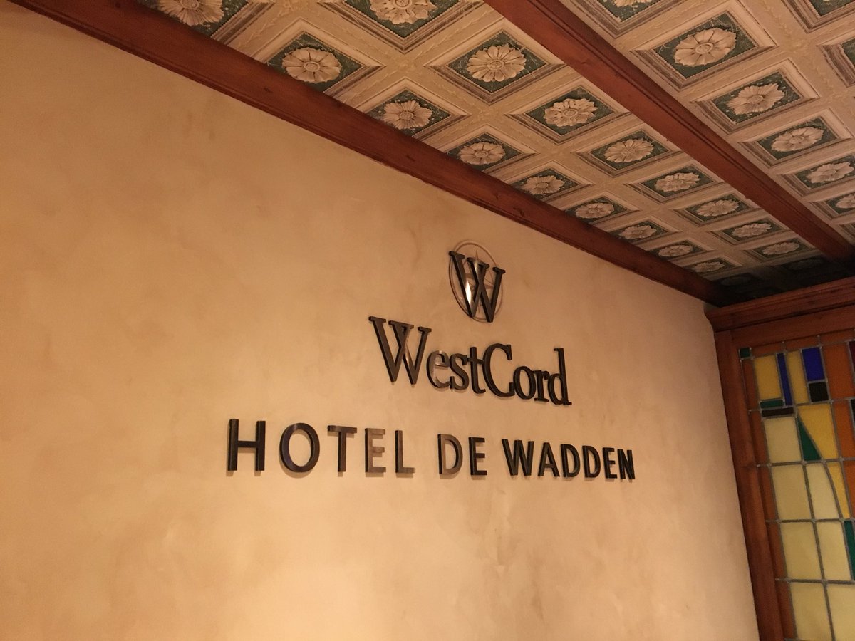 Vale lijster in the pocket!! En een bijzonder sympathiek welkom bij <a href="/WestCordWadden/">WestCord de Wadden</a>. Bedankt! <a href="/waarneming/">Waarneming.nl</a>