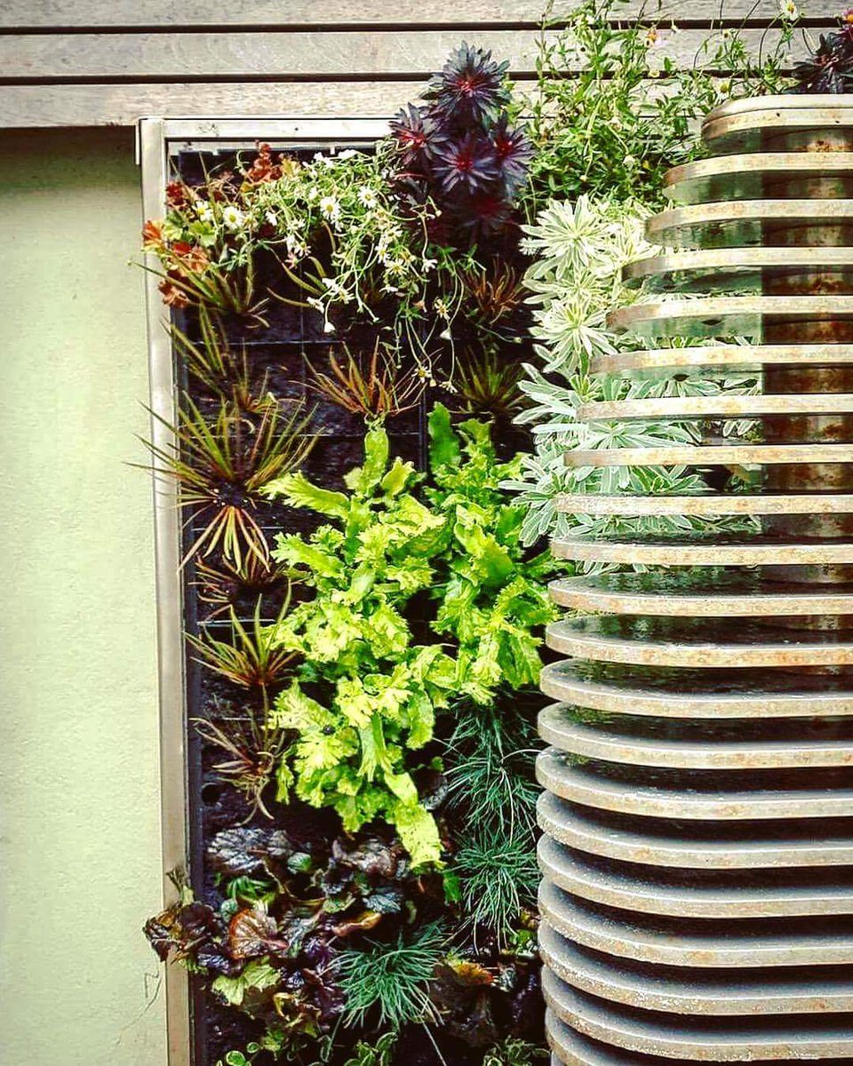 #greenwall #livingwall #verticalgarden #gardendesign #design #GardenersWorld  #rhs