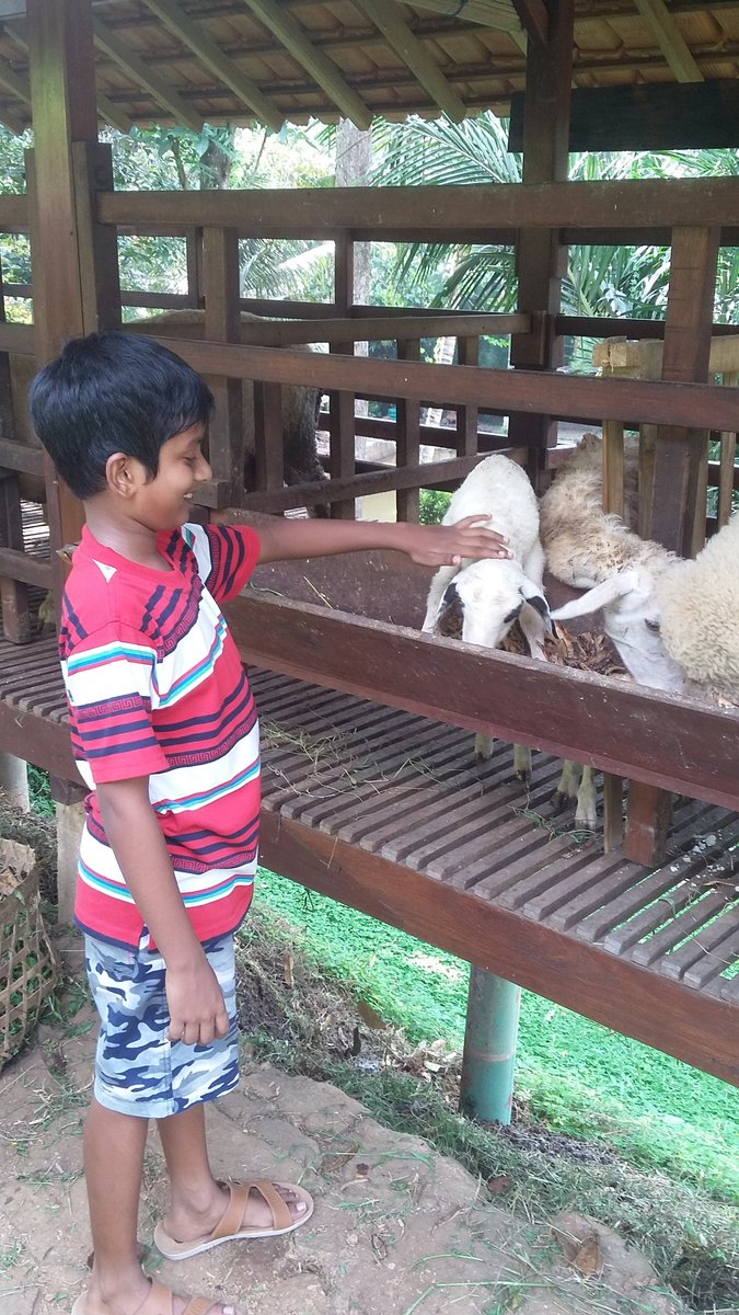 beby_may86's tweet photo. @ganjarpranowo Piknik ke ngerembel pak...bisa mancing dan lihat hewan..kambing,sapi dll..murah meriah😍 https://t.co/xRfQn7cWot