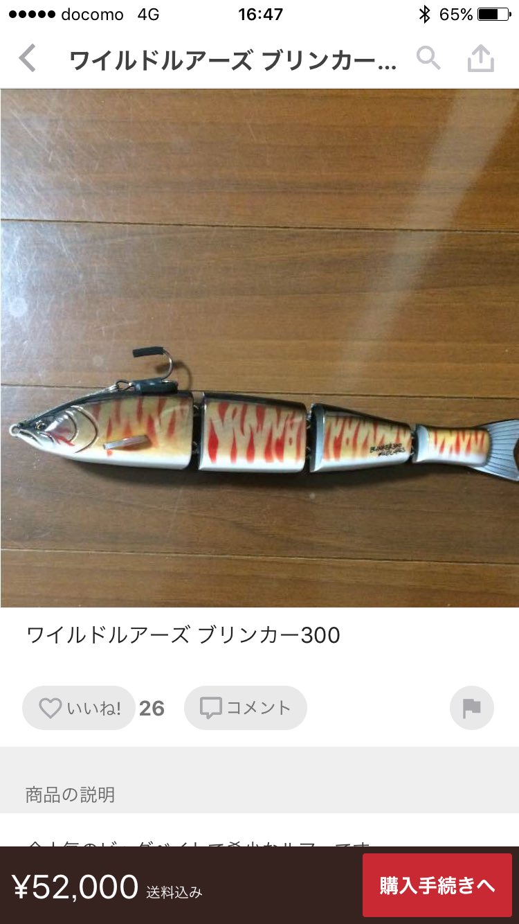 ワイルドルアーズ ブリンカー300