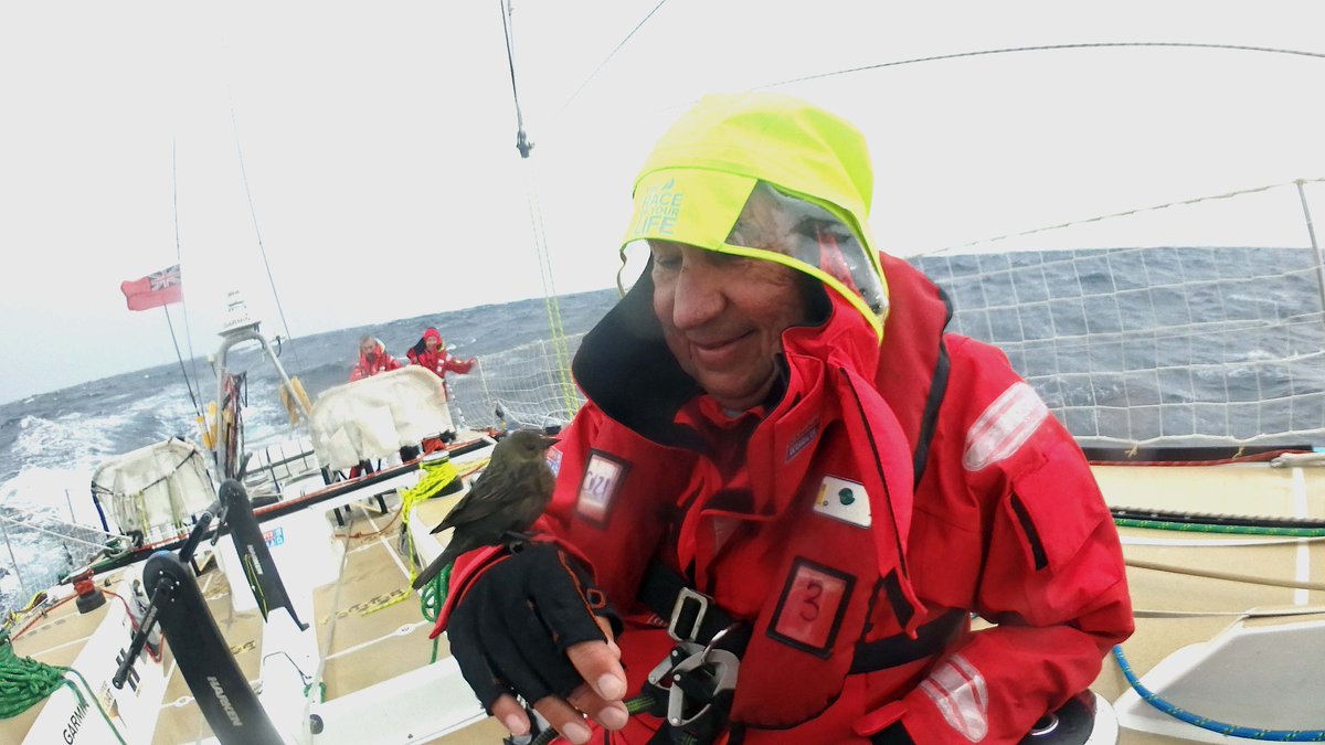 ClipperRace's tweet photo. Gallery 3 of 3: Here are images for the @hlmarine Photo Contest Race 2 (in order): @hotelplanner @GREATBritain @unicef_uk @PSPMarine https://t.co/TN1TRkjRMr