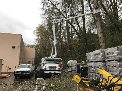 earthworkstree's tweet photo. #LandscapingServicesBellingham by professionally managed companies will create a positive impact on visitors.  https://t.co/R2I0t5LaUP https://t.co/ab3zEbm1Zq