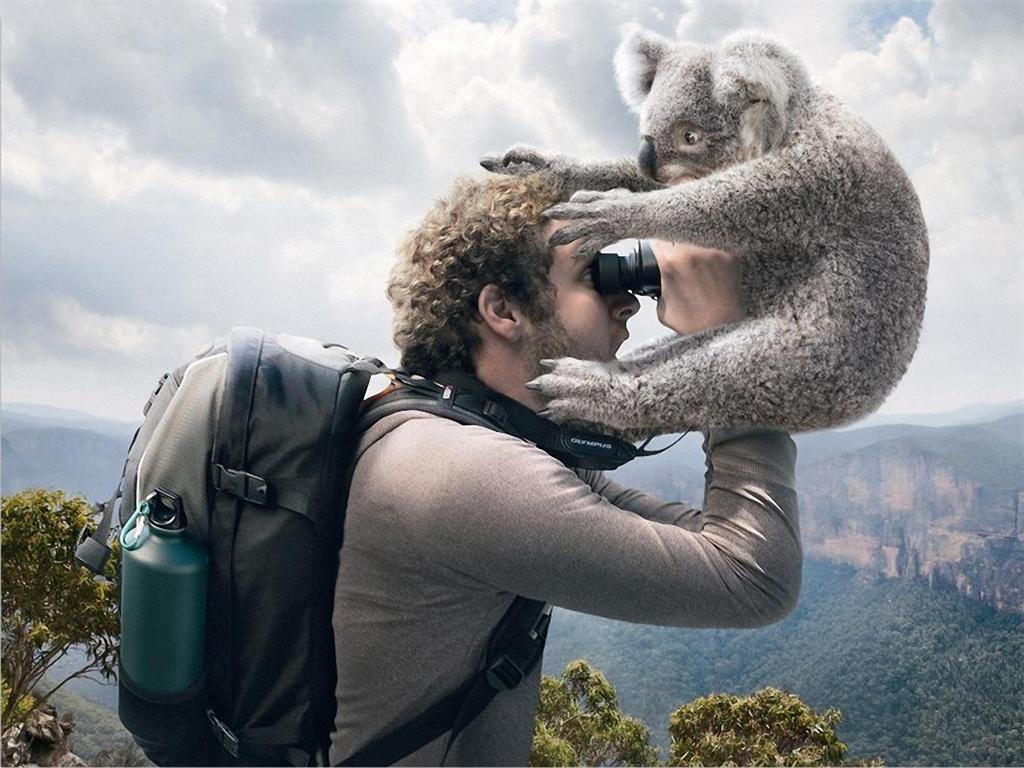 Книги которые стоит прочитать каждому. Которые будут интересны взрослым. Самые большие рекорды гиннеса. Которые будут интересны взрослым. Дети шпионов 4 мэйсон кук.