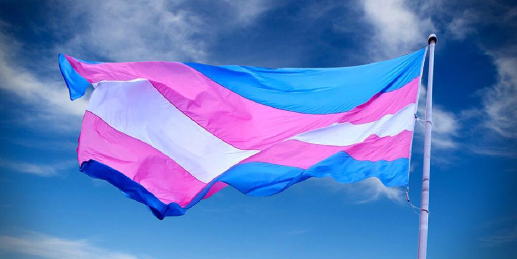 Fran4881's tweet photo. Prejuicios,errores científicos,  patologías,estigmas asociados a identidades #trans son intolerables e inaceptables en la sociedad actual https://t.co/tXElMpyxdt
