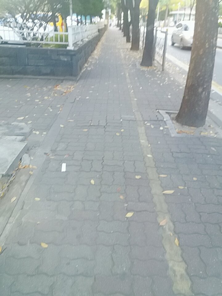 그냥 놓아버리면되는데..그래야 내가 살수있는데 그걸 놓지못하고 죽을것같은고통을 참아내고있다 미련하게..화가나서..아님 억울해서 ..온전했던 내맘이 아무것도아닌게되어버려 너무슬퍼서..그래서 맘이 까맣게타고있어도잡고있는건지도모른다ㅜㅜ#가을#슬픔#미련함#바보