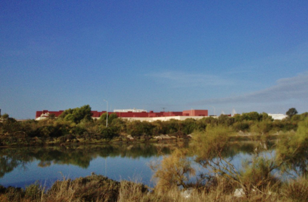 DelphiCadiz tweet media