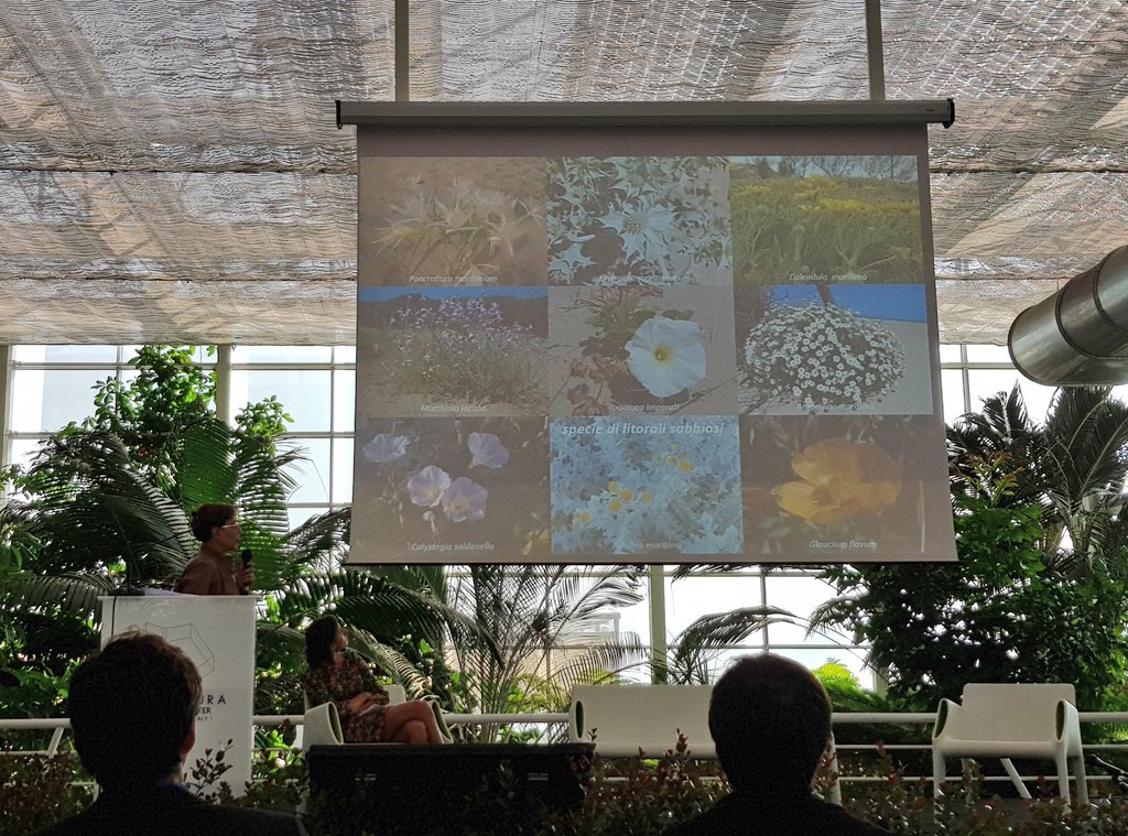 sergiocumitini's tweet photo. #anewgreenscenario #profssaCristaudo UNICT parla dei diversi habitat siciliani a @RPGardenFest @liveunict @studenti_unict https://t.co/hsIc1wEv1I