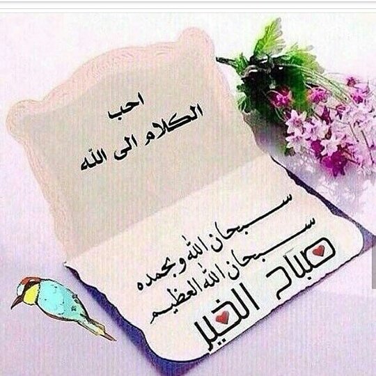 ربے أكتب لنا سـ؏ـاده دائمہ
 وابتسامہ ﻻ تغيب وقلبآ ﻻ يحزن..❤
            ﺻبــــــــاﺡ الـﺨـﯧــــر..
