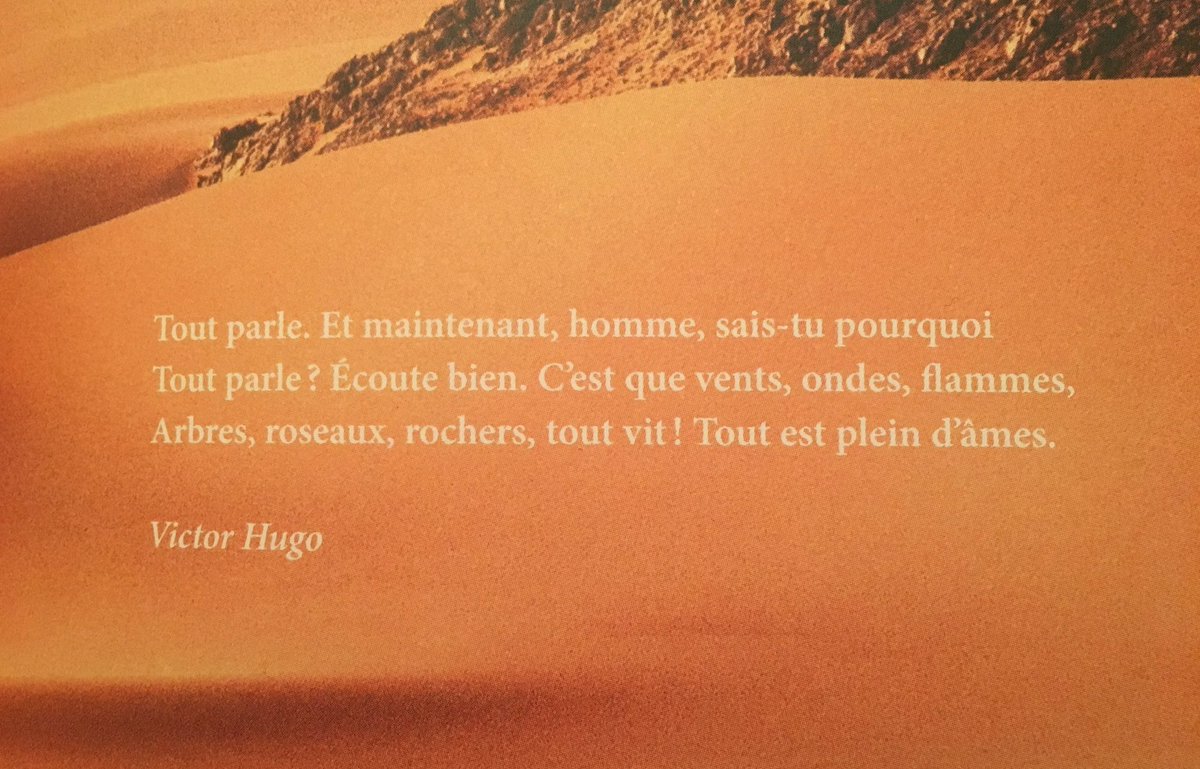 Nicolas_Blain's tweet photo. IMMENSE Hugo qui il y a 150 ans avait tout compris. Chaque entité du Vivant a une valeur intrinsèque et sacrée. Hurlons-le #droitsdelanature https://t.co/NSqg6a0N7L