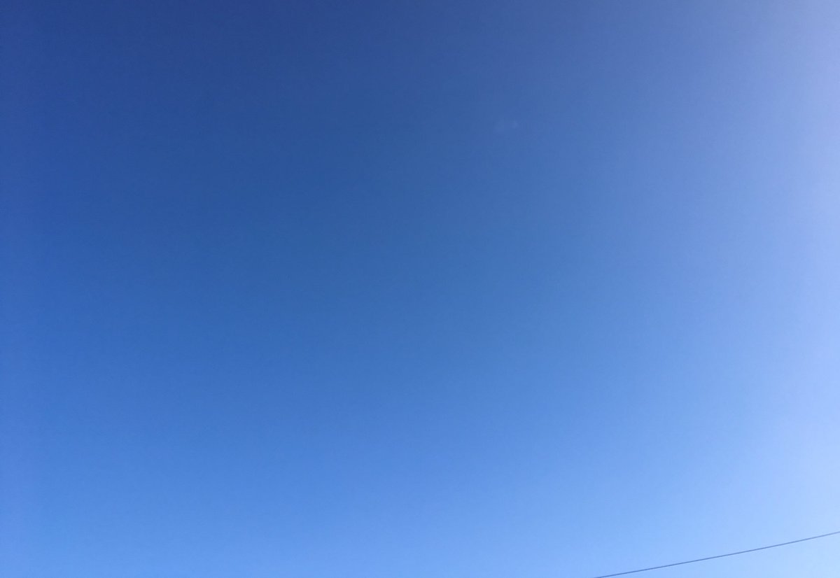 TheExecutiveMax's tweet photo. A beatiful day for WALKIES
#MrBlueSky https://t.co/Ket4TfQf2r