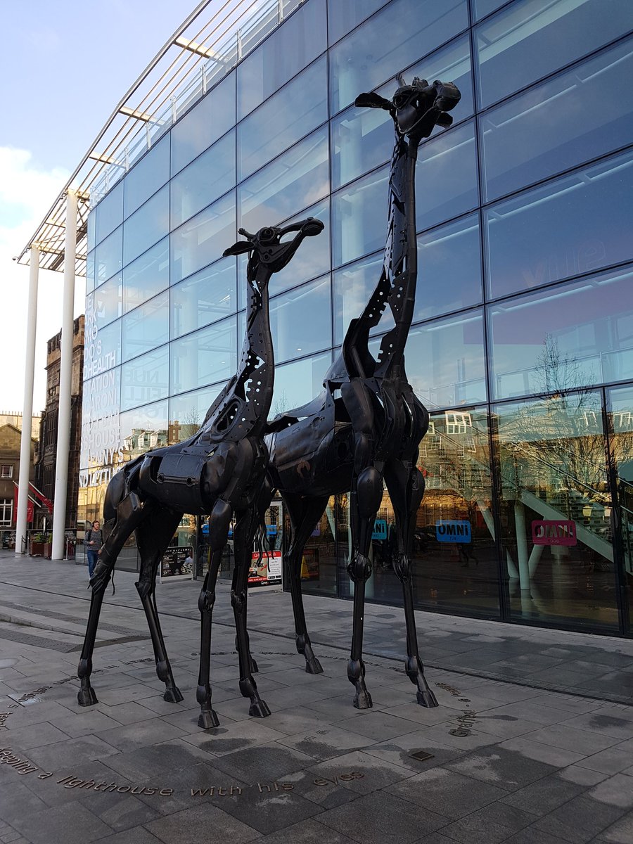 johnibbotson1's tweet photo. Met 2 giraffes in darkest @edinburgh https://t.co/Cy8t8dAsVr