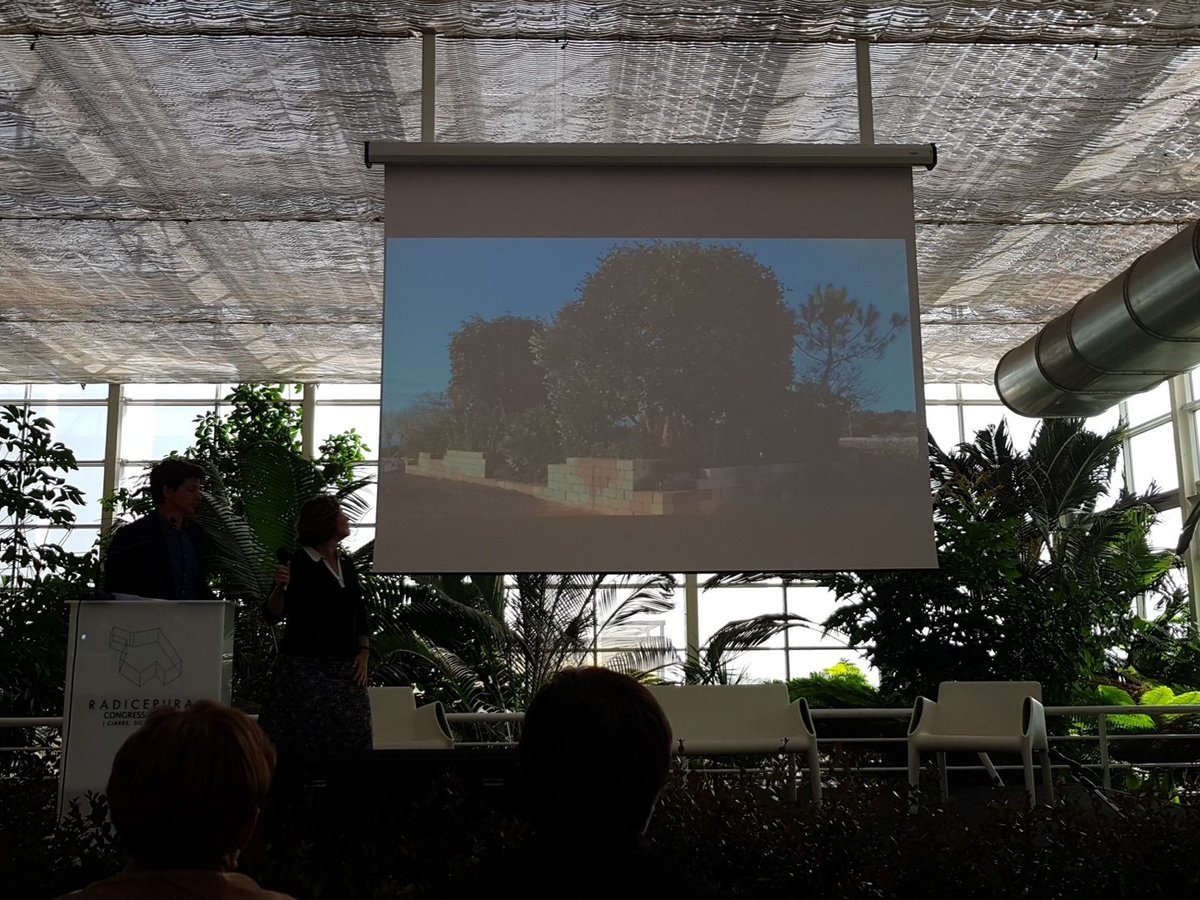 sergiocumitini's tweet photo. @BassonJames #james&amp;helen basson talking at #anewgreenscenario about their Mediterranean show garden #Alpheo&amp;Arethusa at @RPGardenFest https://t.co/3bW20vvTfk