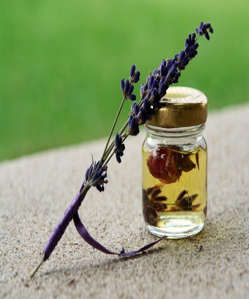 #top 4 �We present you the top 4 most used and effective essential oils of all time. 1. Clove 2. Frankincense 3. Lavender 4. Peppermint. #LD