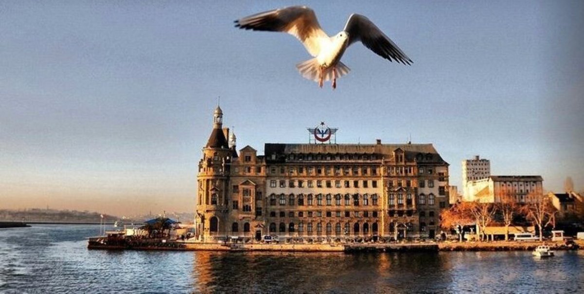 Kan ve kemik tüm insanlarda bulunur,farklı olan yürek ve niyettir.”Bir Çift Yürek”