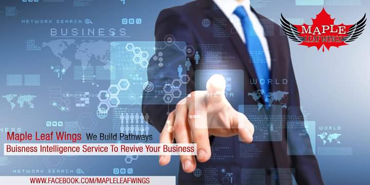 mapleleafwings's tweet photo. Business Intelligence Services #b2b #b2c #Marketing #gaprisk  #OnlyGiveThePunchline https://t.co/DavsU6p8uj