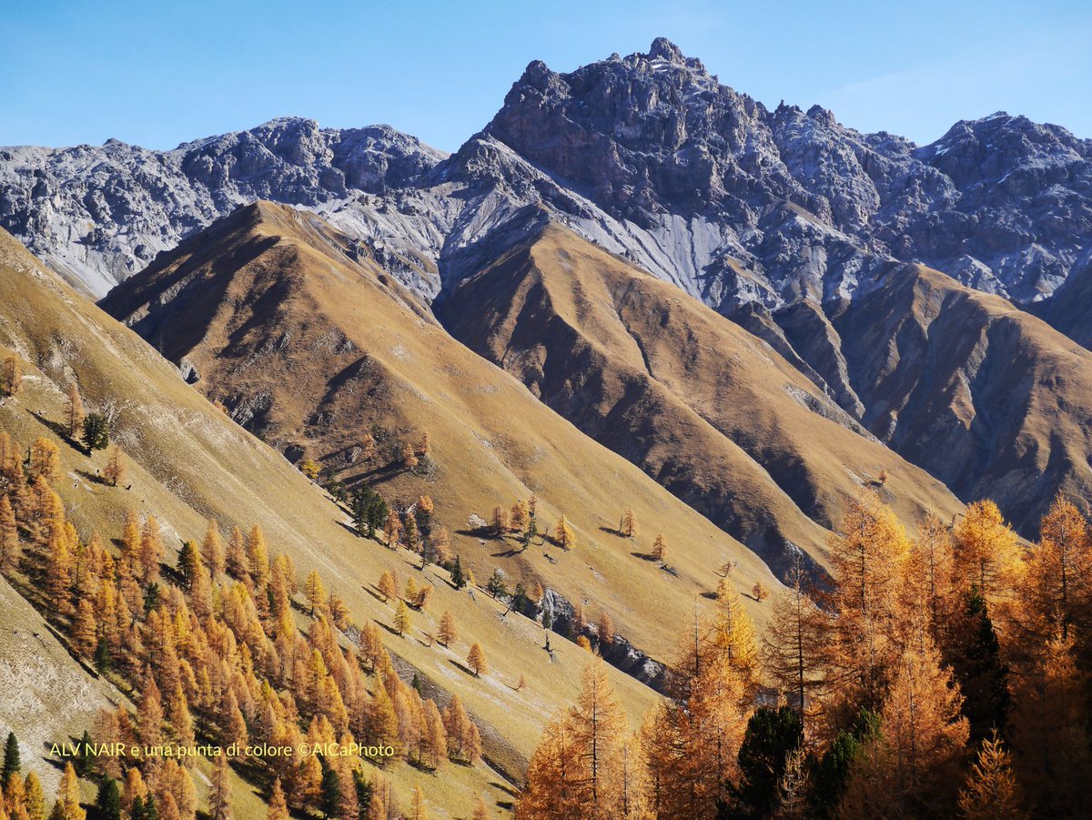 AlCaPhoto1's tweet photo. Marvigliusa Val Trupchun #graubünden #VERLIEBTindieSCHWEIZ @graubuendner @SwissEmotions @MySwitzerland_d #traumtag @nationalpark_ch https://t.co/2xUoVnXjHD