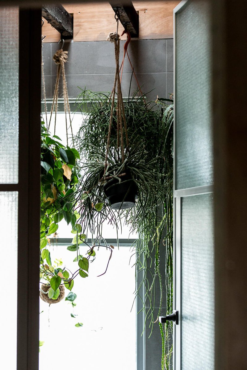 The_ModernHouse's tweet image. Open House: Simon Astridge on designing atmosphere, #nonarchitecture &amp;amp; the Clay House ow.ly/YlH330fLBJB #interiors #design