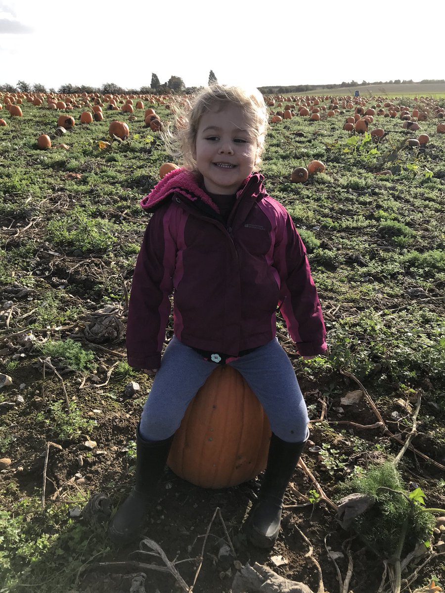 b33t16's tweet photo. Weekend started @PumpkinJim. AWESOME! Loads to do for kids and lovely family and community event! One problem... too much #pumpkin choice!! https://t.co/fE4cGvVqQG