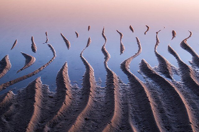 ttsweet's tweet photo. Sand fingers
Cape cod
#capecod #reallyrightstuff #marthasvineyard #hoodmanusa #precisioncamera #nikon #d850 #arcas… https://t.co/vuReecOvtS https://t.co/AQd92Dtz5V