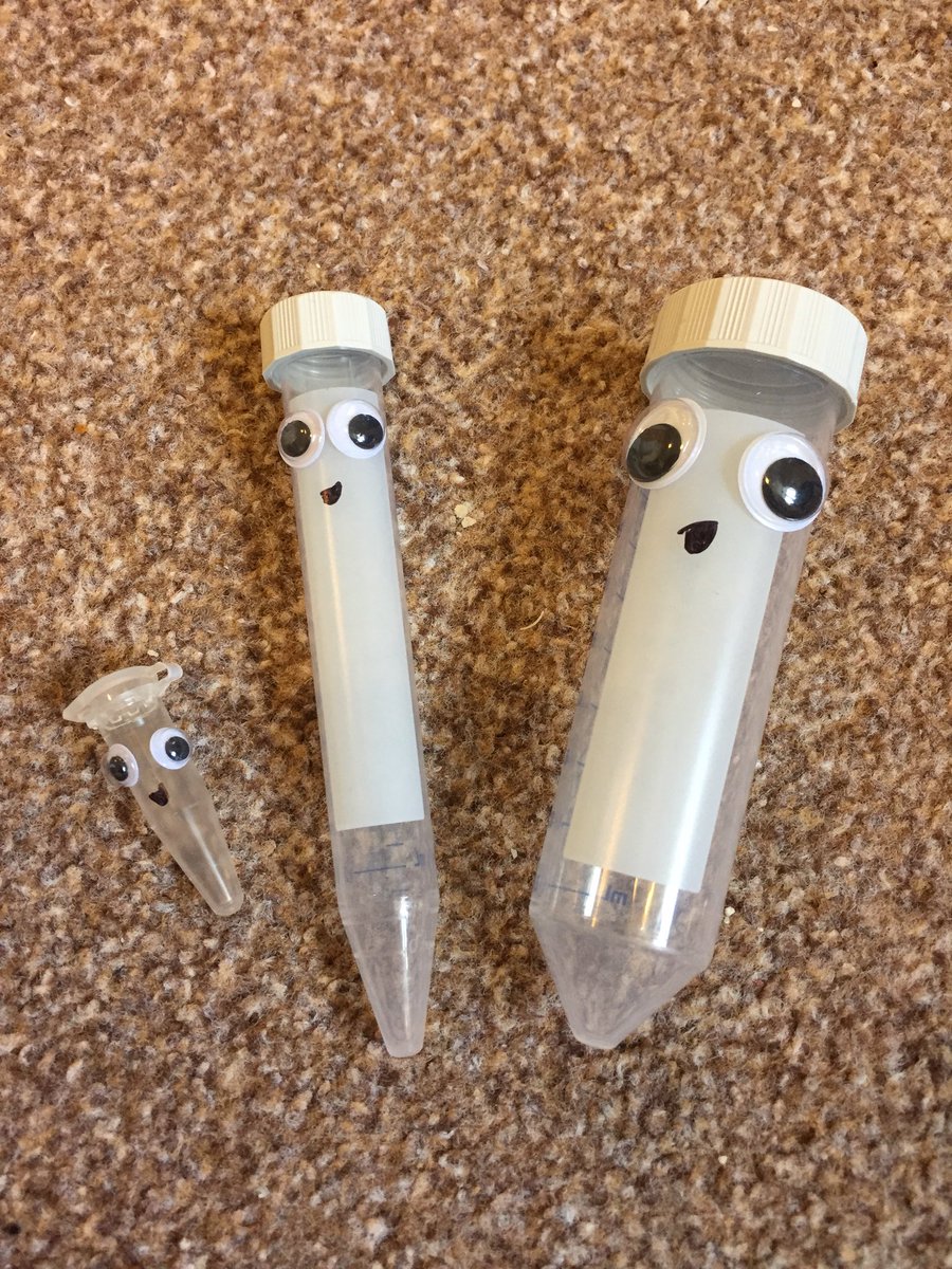 Allie_Mei's tweet photo. @EppendorfUK the kids love eppi’s too! #FamilyofEppis https://t.co/9Dwoasxr60