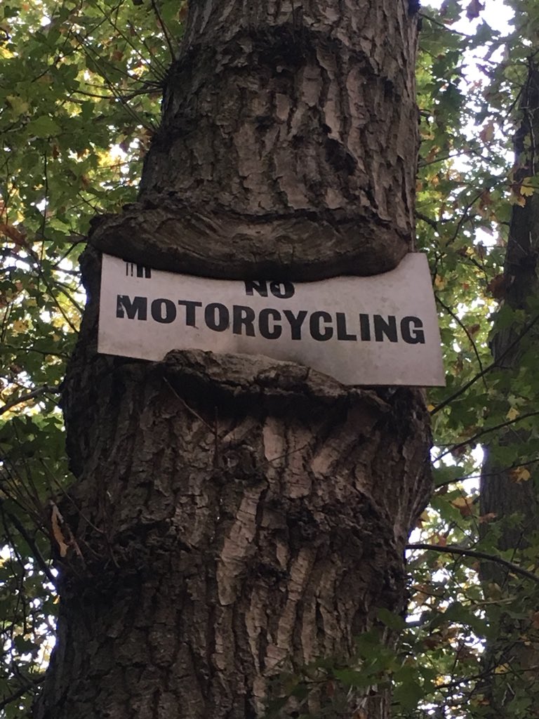 alembicdesign's tweet photo. @atlasobscura #hungrytrees https://t.co/noYM5vnPRK