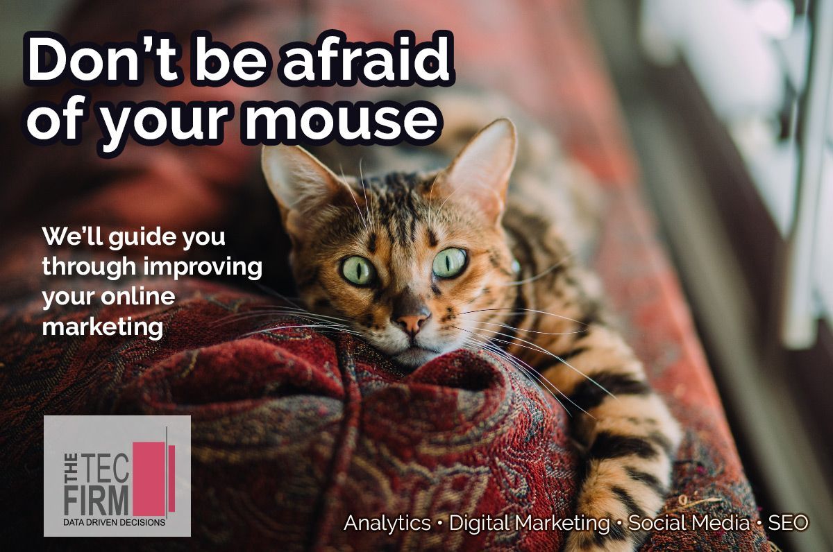 TheTecFirm's tweet photo. Don't be afraid of your mouse - contact us to get a review of your website and social media- find out what's wrong 

https://t.co/GgXLxu6U59 https://t.co/1UmaG2hCxv