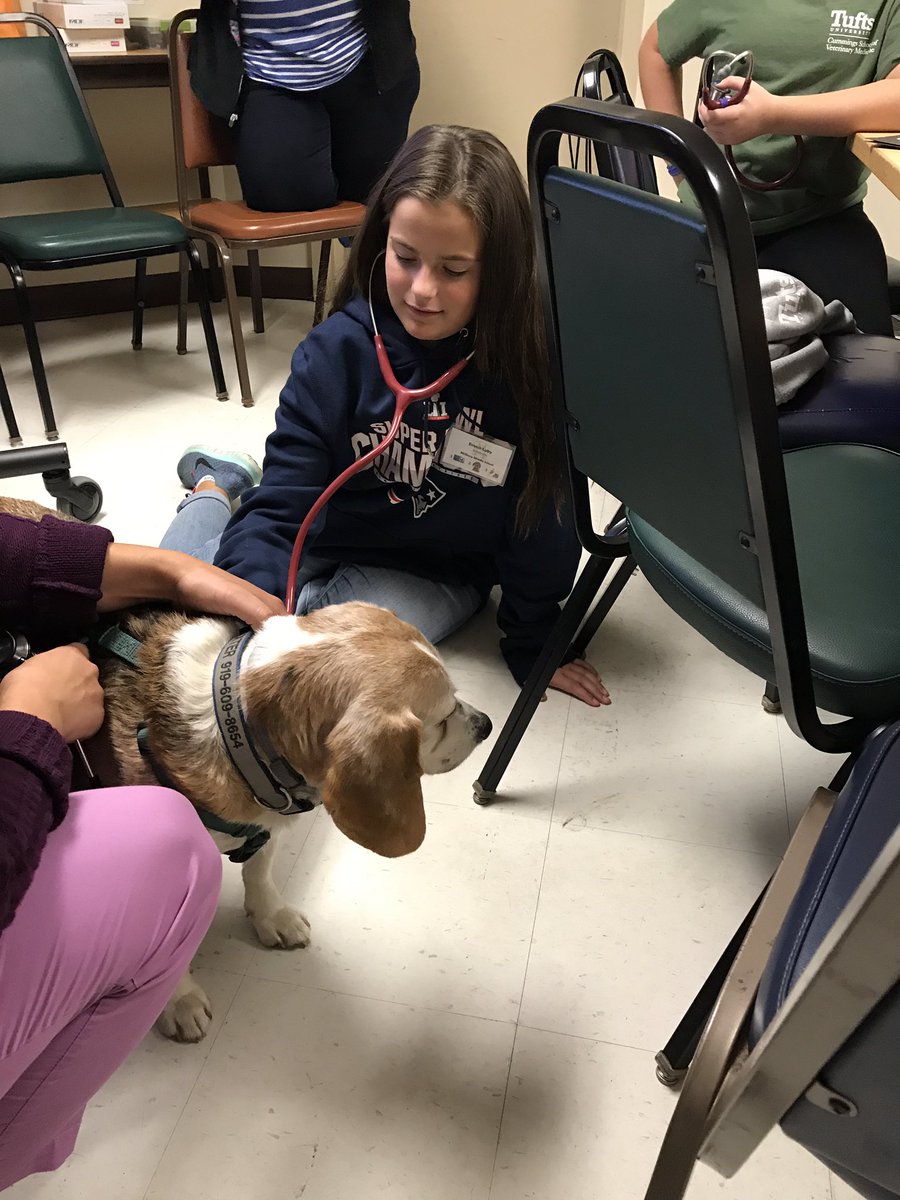 Mrs. Corey (Vangos) tweet media