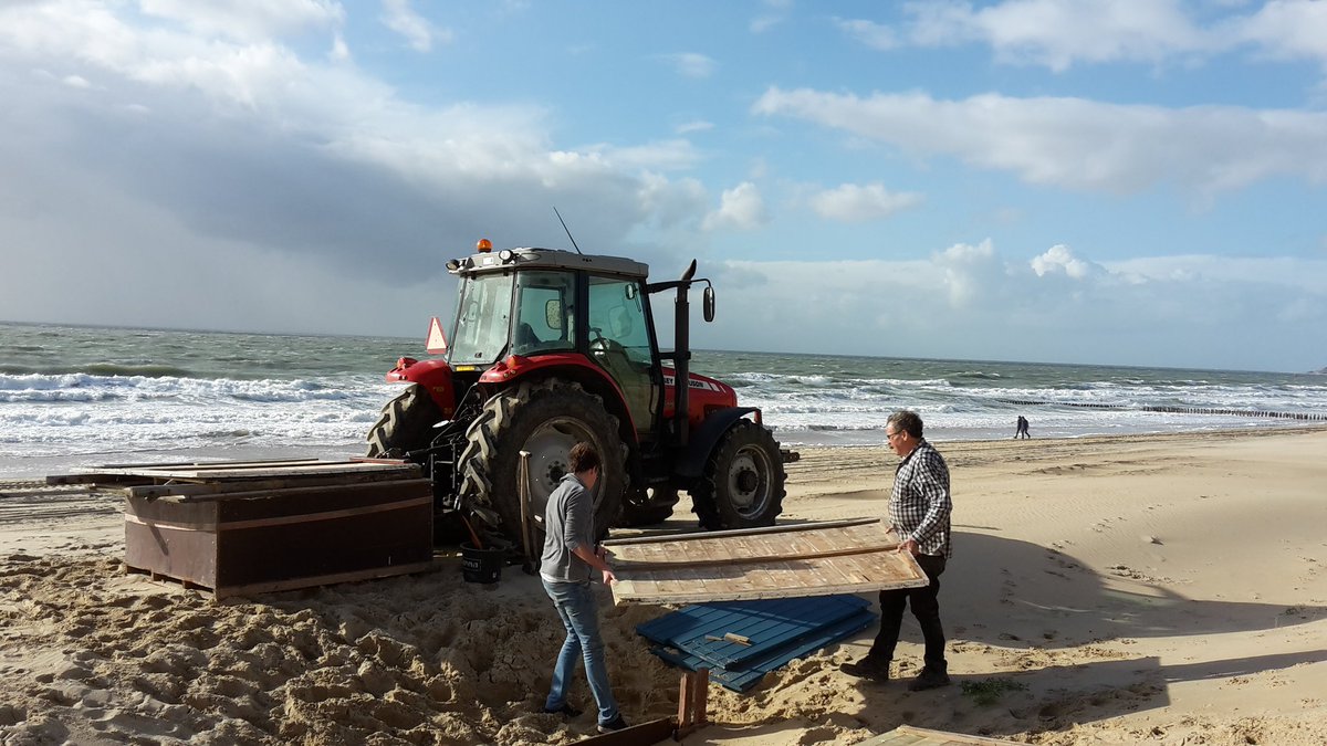 MarijkeLieman's tweet photo. Vreemde plek voor de #Wilgenhoutrups: in strandkotje 94 #Valkenisse #Cossus cossus https://t.co/NHl6buGRHD