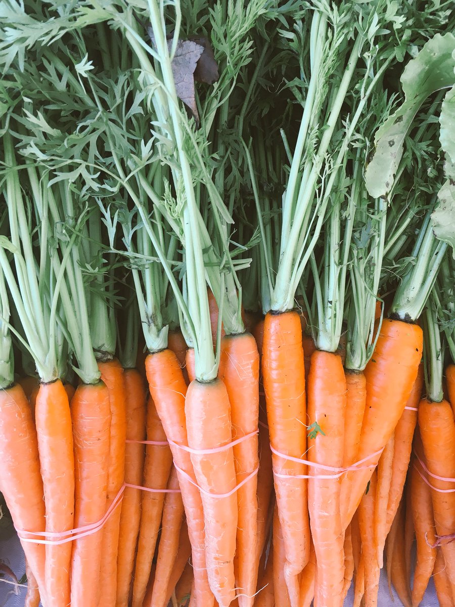 FRESHFARMMVT's tweet photo. Things are getting fennel-tastic over @FRESHFARMMVT Pleitez Produce has a bountiful selection! @FRESHFARMMktsDC #freshnlocal https://t.co/m1lEuEmumg